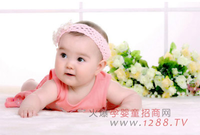 螞蟻大象兒童攝影連鎖店全國招商