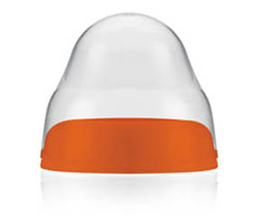 �����ǌ��ڏ���ƿ�w�Æ���