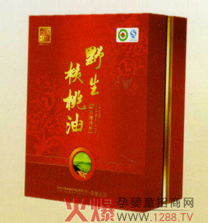 ���t�������ӳ��������\(ch��ng)�д���