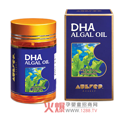 ����DHA����ܛ�z���|����ȫ�б��C