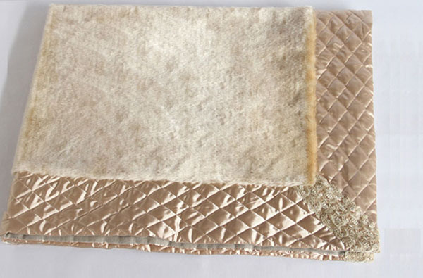 寶巢母嬰防輻射絨毯展示圖