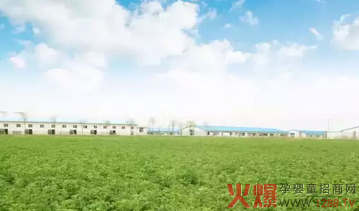 ������ЙC(j��)���������ع� ����?j��ng)]����