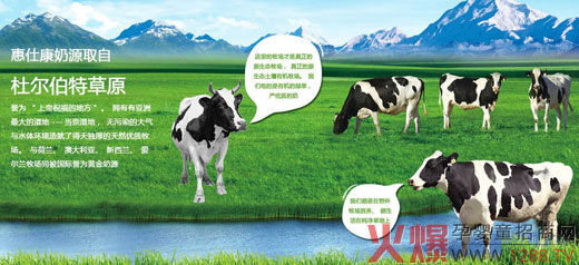 �{�˿��̷�20�갲ȫƷ�|(zh��) �d�u�ʫI