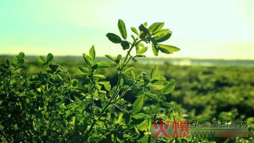 �xɽţ�̟���ӛ��������(ch��ng)������ �����֎ײ���