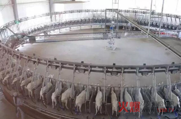 �P(gu��n)ɽ��I(y��)���B(t��i)����(ch��ng) ���޴�Ҏ(gu��)ģ����(sh��)�a(ch��n)�I(y��)朻��A(ch��)