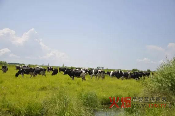 ���_(d��)ɽ�̷۞�Ε��ܵ��@ô���˵�ϲ�ۣ�