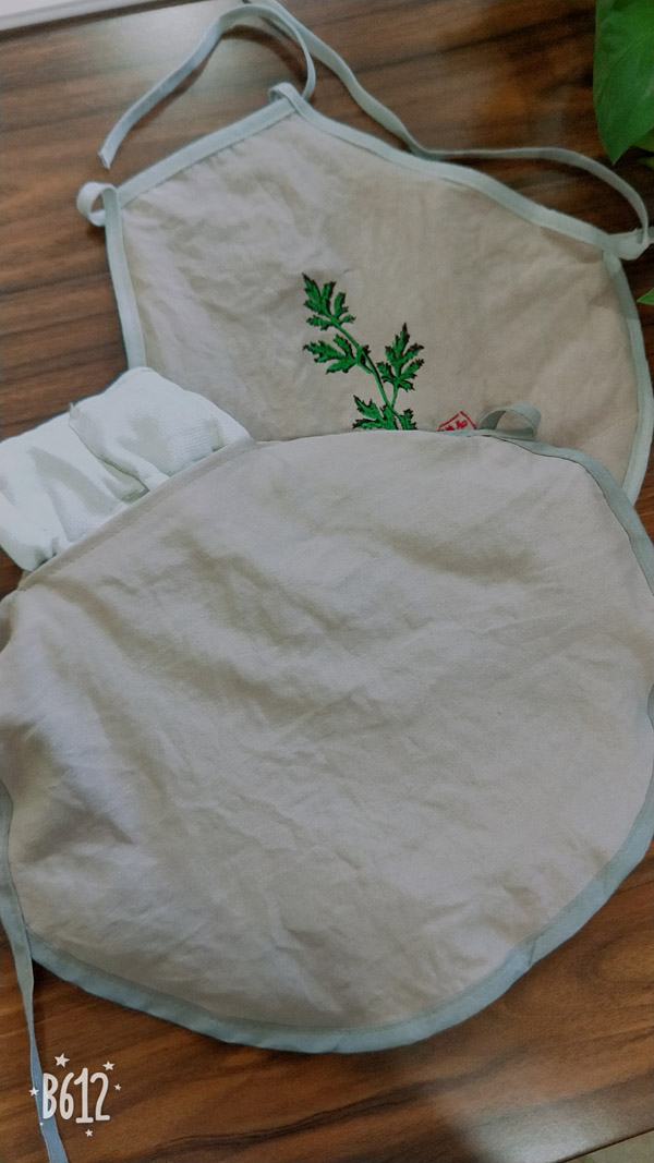  ��ͯС�����ö��׶Ƕ�