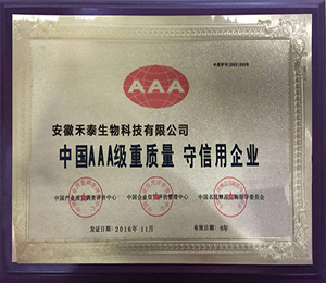 �Ї�AAA�����|��--��������I(y��)