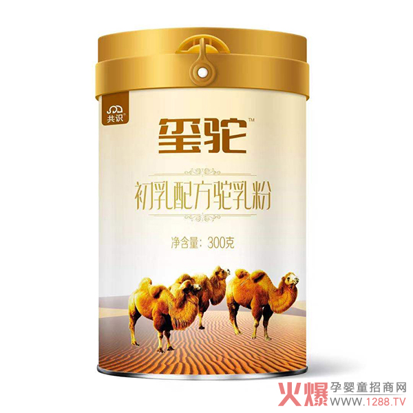 2020�Ă����ӵ��̷ۺ��u��׌�t����۽o��𰸣�