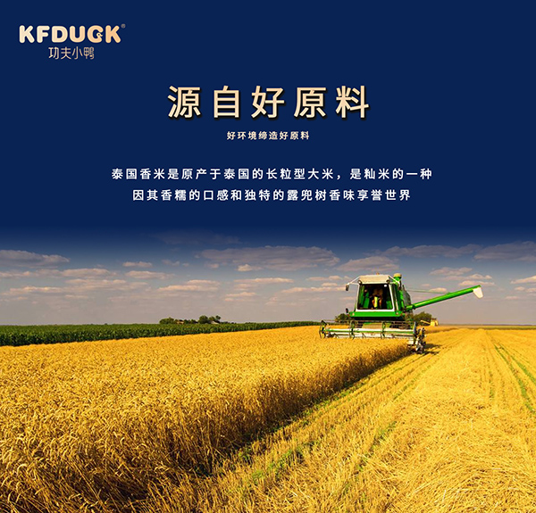 功夫小鴨嬰幼兒營(yíng)養(yǎng)粥