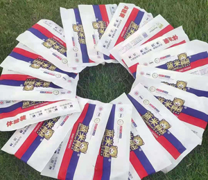  �{(l��n)���ܼ���ѝ���N�D11