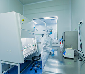  ��������S19