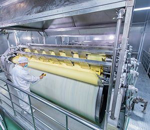  ��������S31