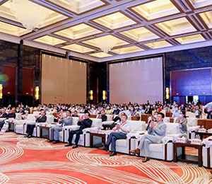  �麣���H��(hu��)չ F