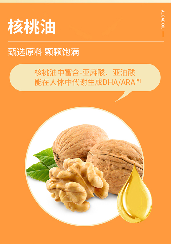 黃金搭檔核桃油DHA藻油軟糖詳情圖_06.jpg
