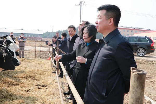 圖片7.jpg 圖片7.jpg