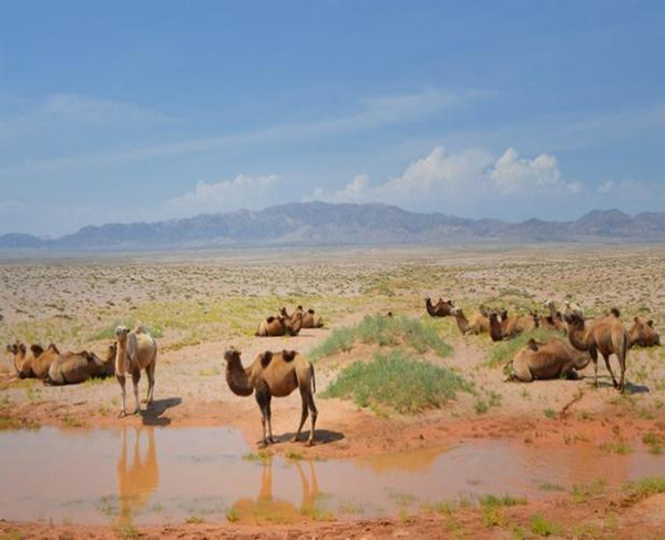 ���ƽz�ĸ�댣�������\�д���������ģʽ���´������o(h��)ȫ�ҽ������\�����ļ�����