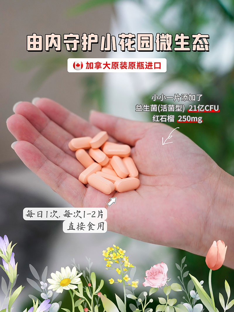 Reaps瑞普斯紅石榴益生菌復(fù)合壓片糖果3.jpg
