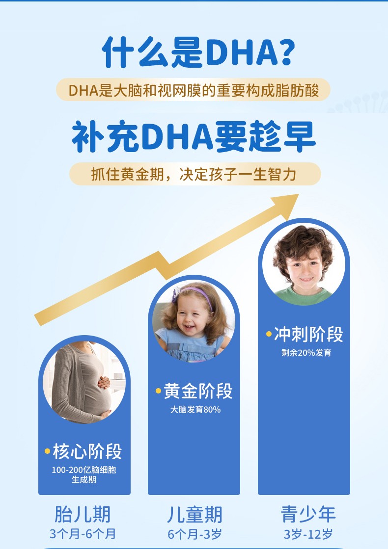 高培冰極DHA詳情_(kāi)02.jpg