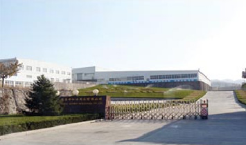 �Ϻ���ĸ�DŮ��Ʒ���޹�˾