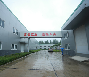 �S������