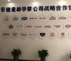 ��˾����չʾ