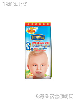 �u�@3���}�S�����L�̷�(���b)