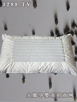 �������p������