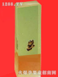 ����ˮ��̥ë��