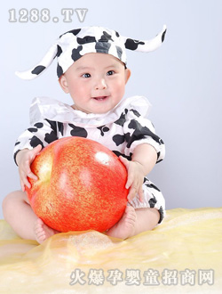 �O(p��ng)���f�@�����տɐ�(��i)����