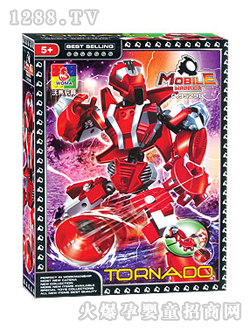 ���R�C���˷eľC9529B