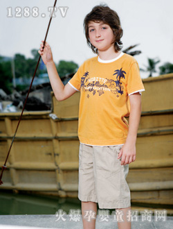 �����ȵ����S�A�I(l��ng)T��