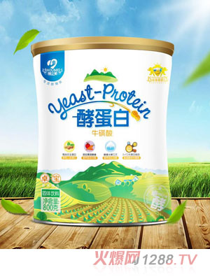 �������͵�����������w���