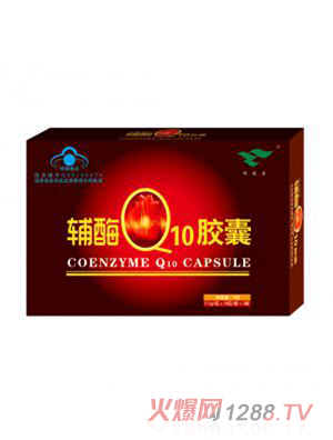 �G���@�oøQ10 �z��