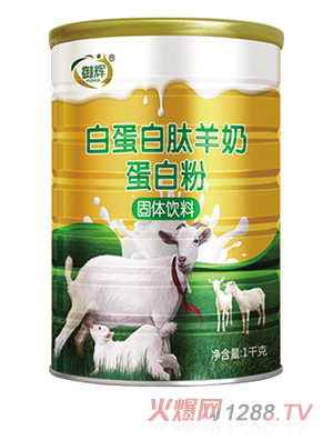 ���x�׵��������̵��׷�