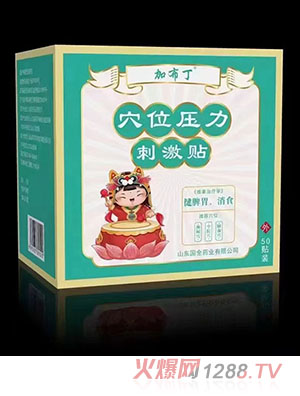 �Ӳ���Ѩλ�����̼��N ��Ƣθ����ʳ