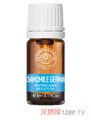 梵溪花園 德國洋甘菊