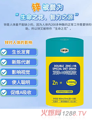 ������˹�p�\+VB�����