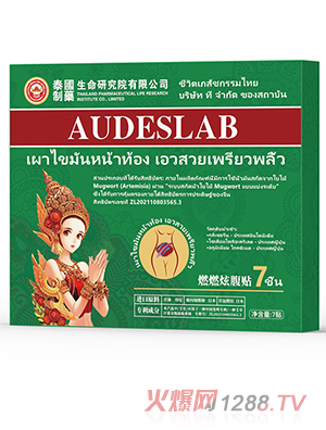 AUDESLAB ȼȼ�Ÿ��N